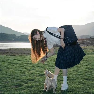 海紫